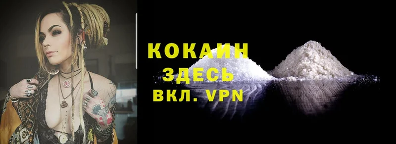 как найти закладки  Электрогорск  KRAKEN онион  COCAIN Боливия 