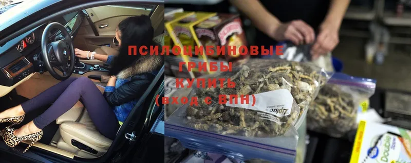 Галлюциногенные грибы MAGIC MUSHROOMS  Электрогорск 